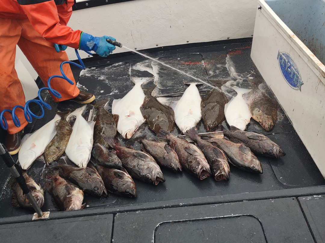 North Country Charters-荷马必去景点