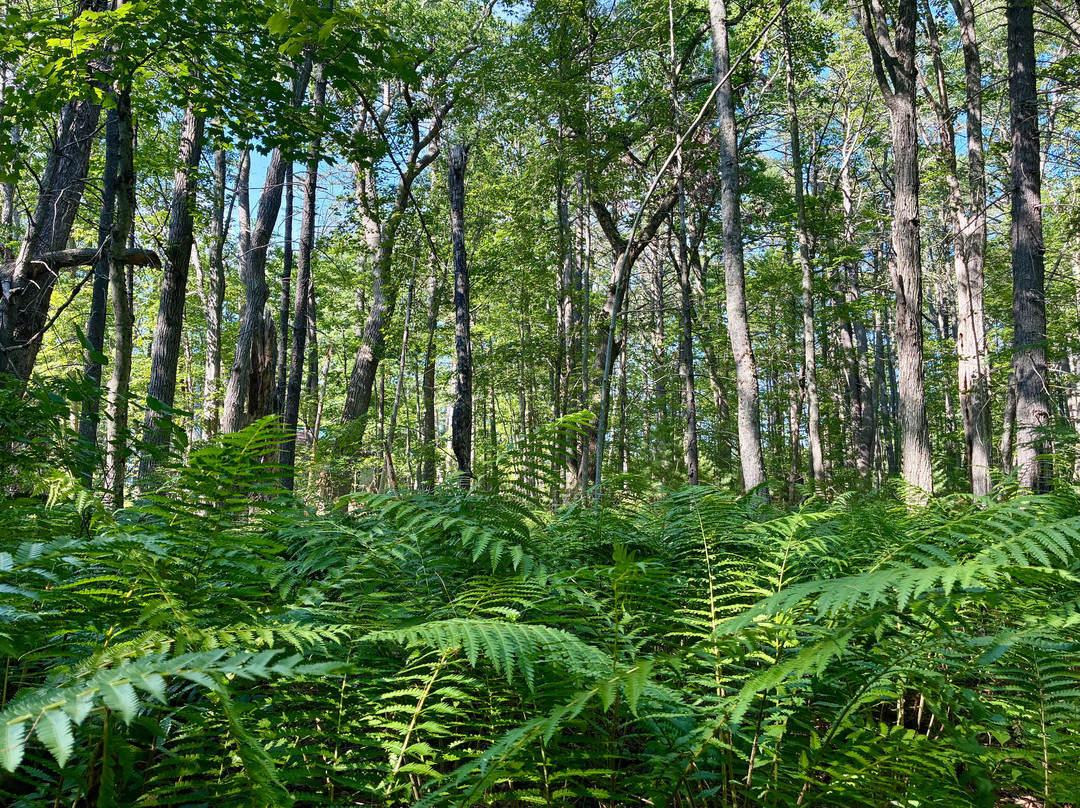 Rachel Carson National Wildlife Refuge-韦尔斯必去景点