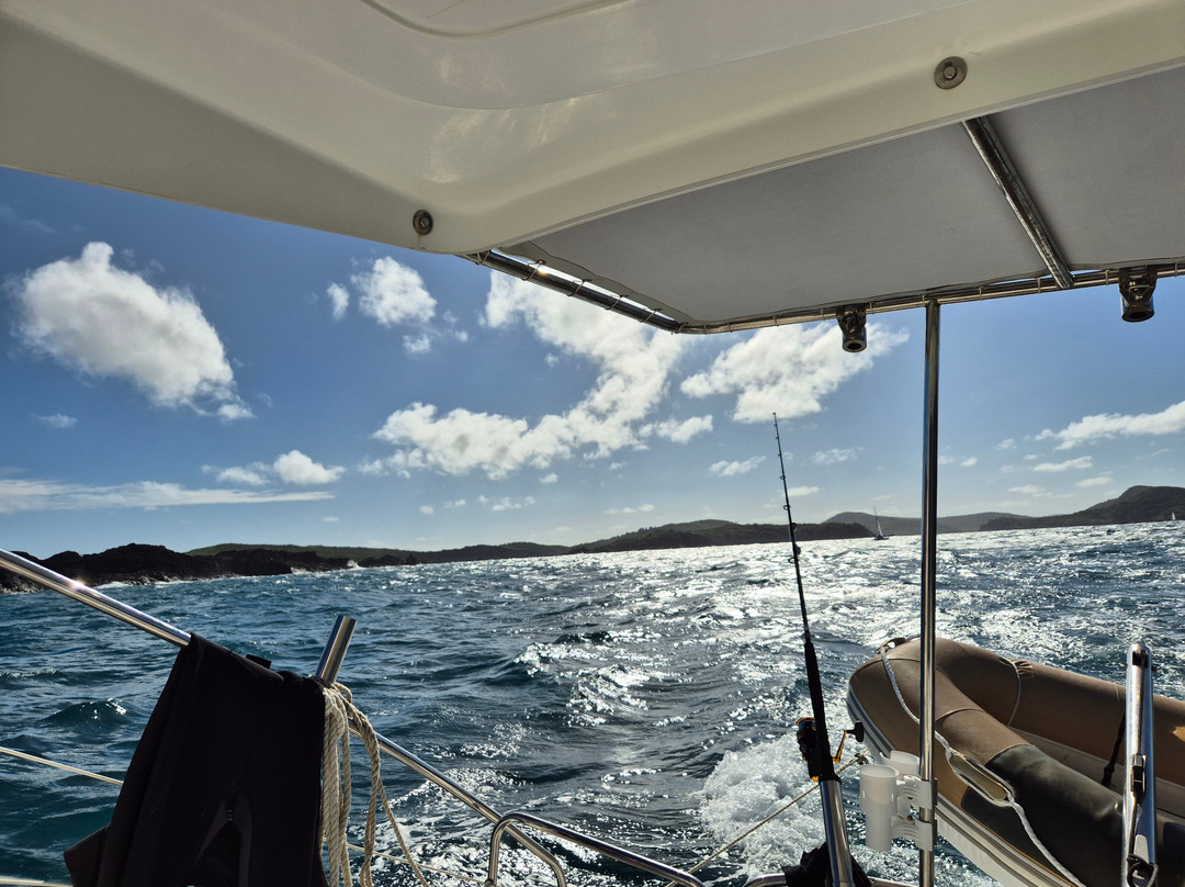 Cumberland Charter Yachts-艾尔利滩必去景点