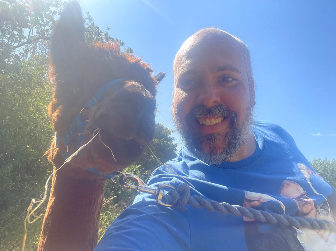 Big Sky Alpacas-Alford必去景点