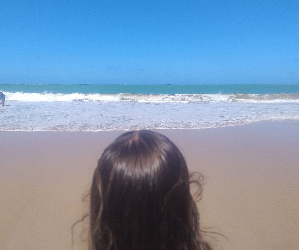 Maceió Mar Resort All Inclusive主图
