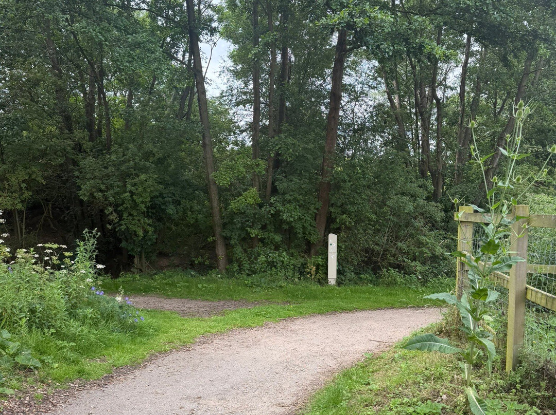 Ryton Pools Country Park-Bubbenhall必去景点