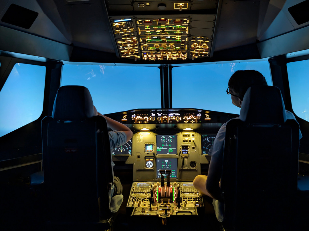 The Flight Experience-纽卡斯尔必去景点