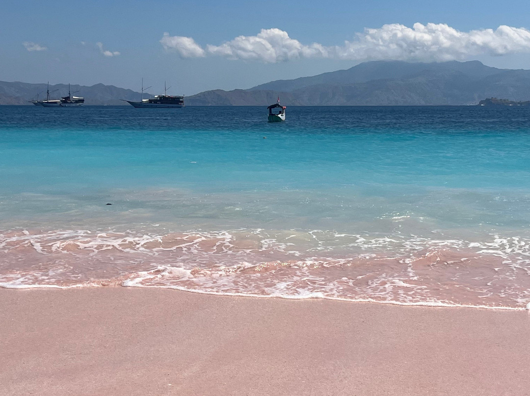 Pink Beach-科莫多必去景点