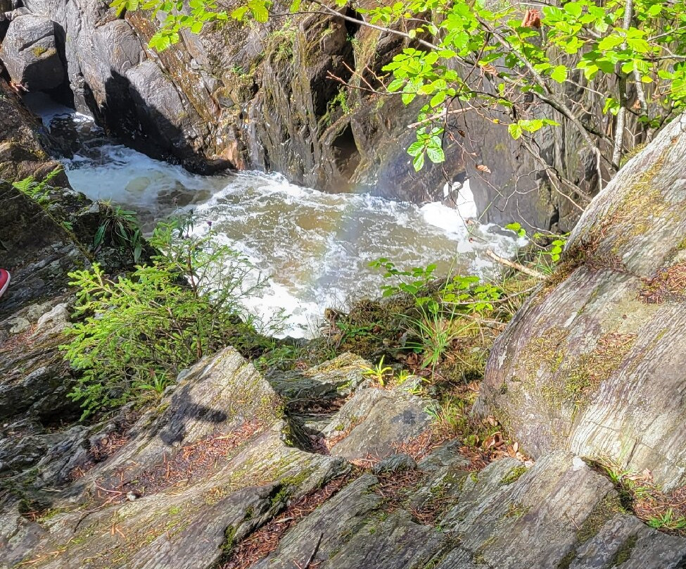 The Hermitage-Dunkeld必去景点