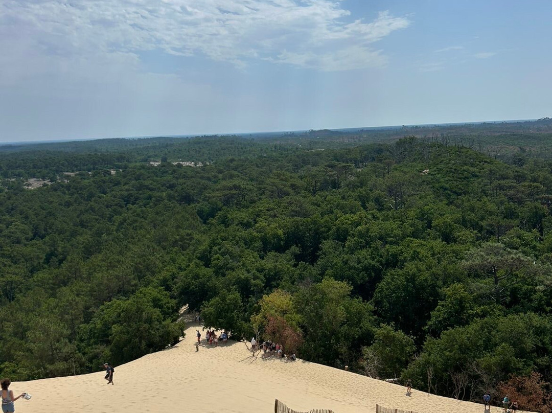 Great Dune of Pilat-拉泰斯特德比克必去景点