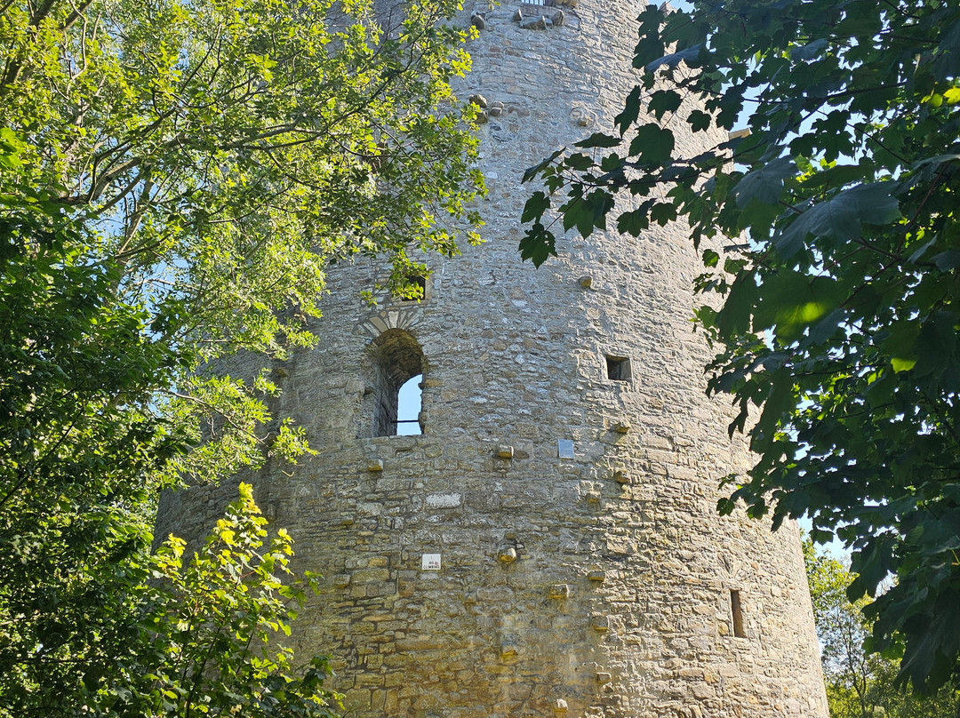 Cavan Adventure Centre-Cavan必去景点