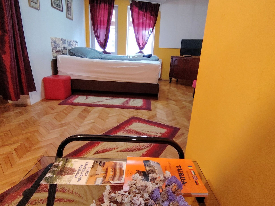 Casa Tudor Turda主图