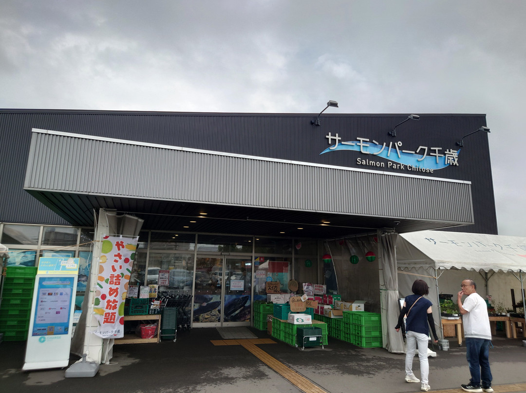 Michi-no-Eki Salmon Park Chitose-千岁市必去景点