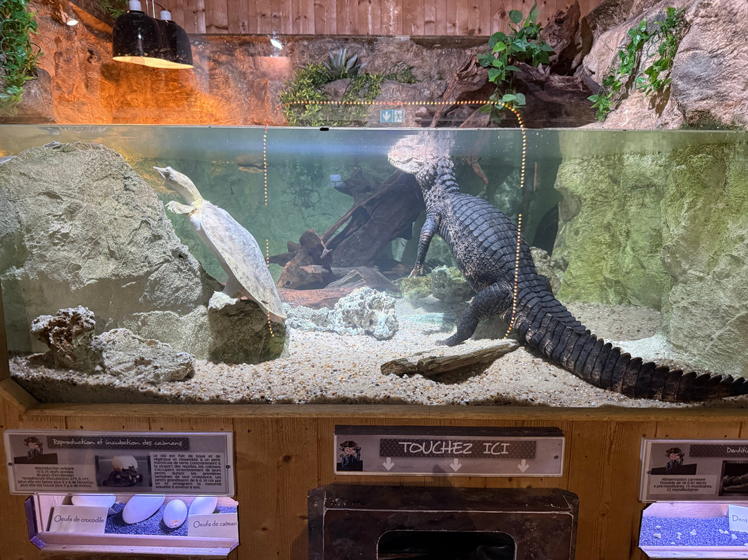 Aquarium du Limousin-利摩日必去景点