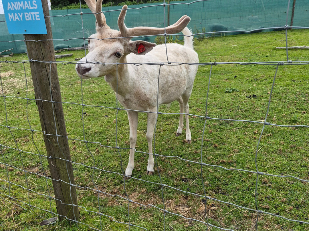 Hillview Animal Park-Alloa必去景点