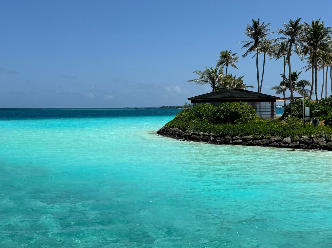 Joy Island Maldives by Cocoon Collection主图