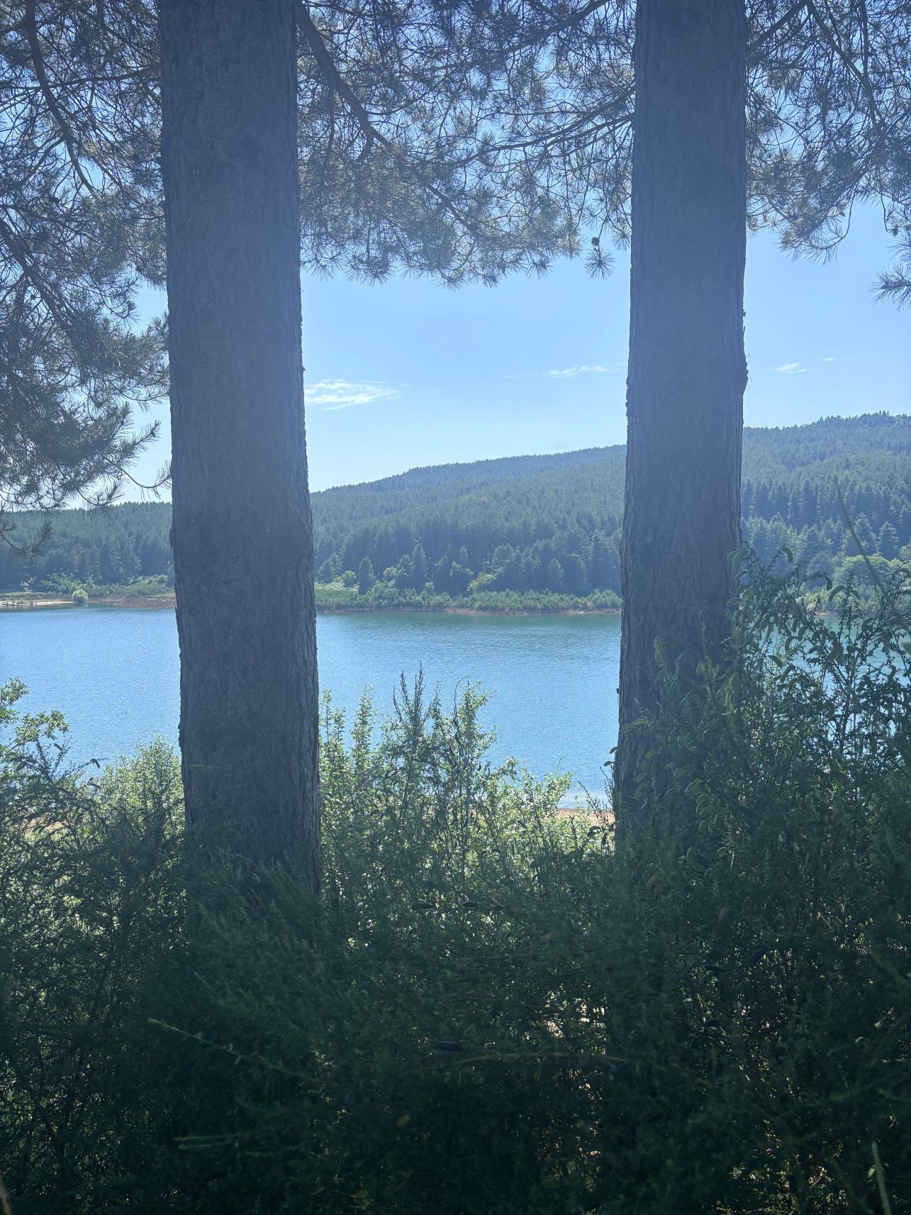 Agriturismo Il Lago Del Passante-旅行者