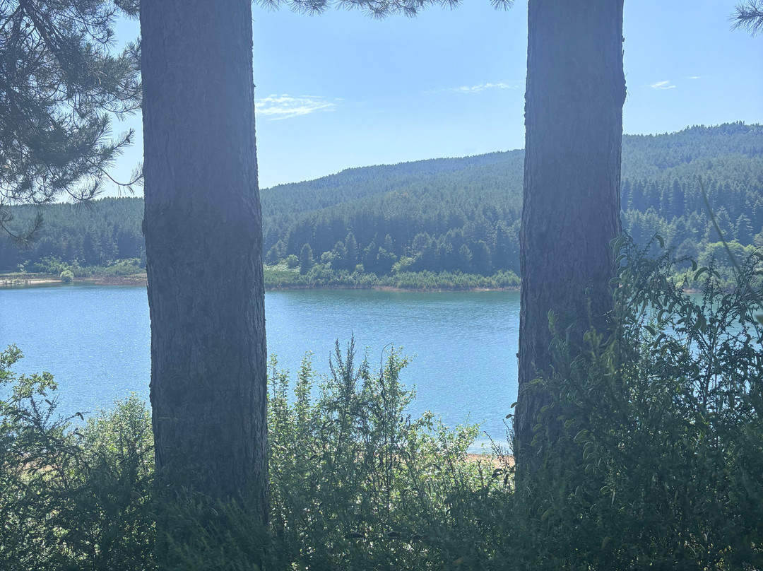 Agriturismo Il Lago Del Passante主图
