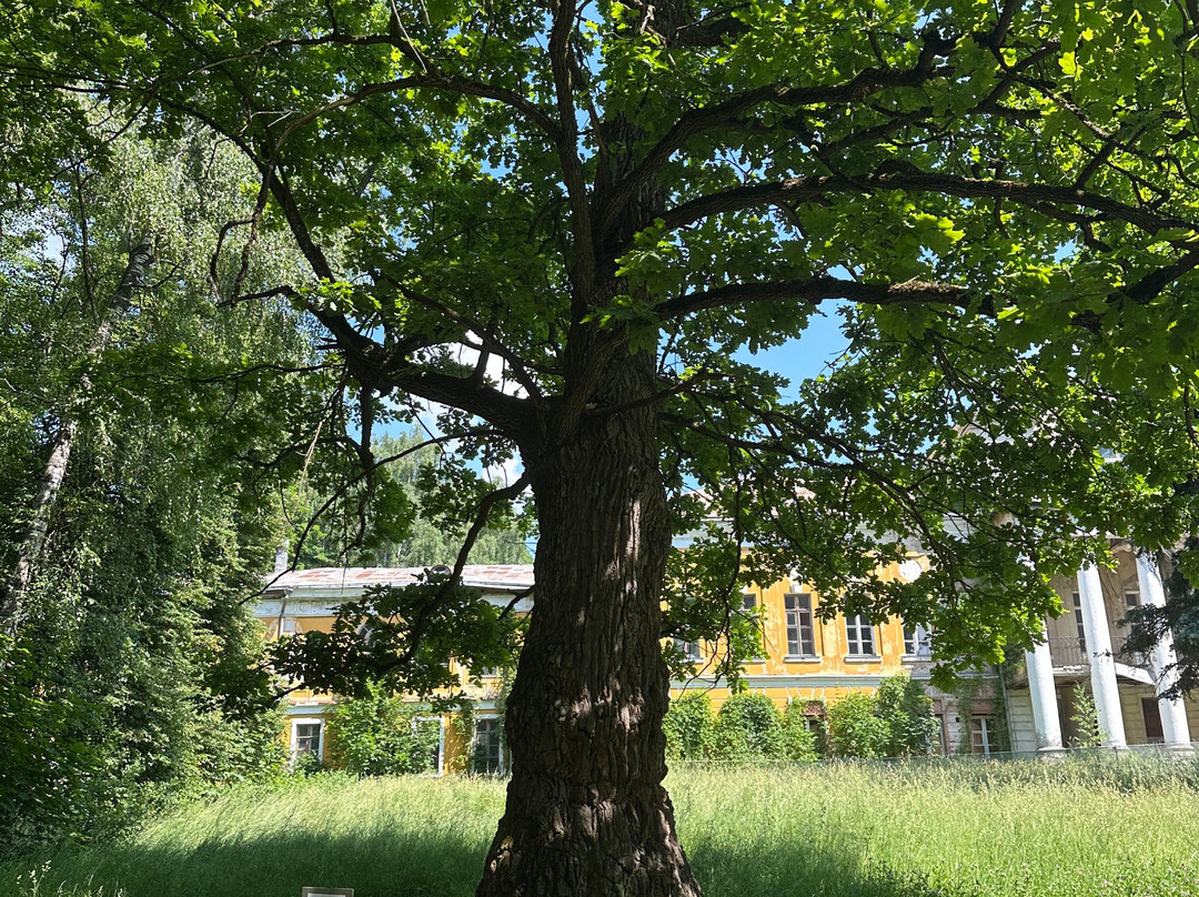 Sukhanovo Estate-Sukhanovo必去景点
