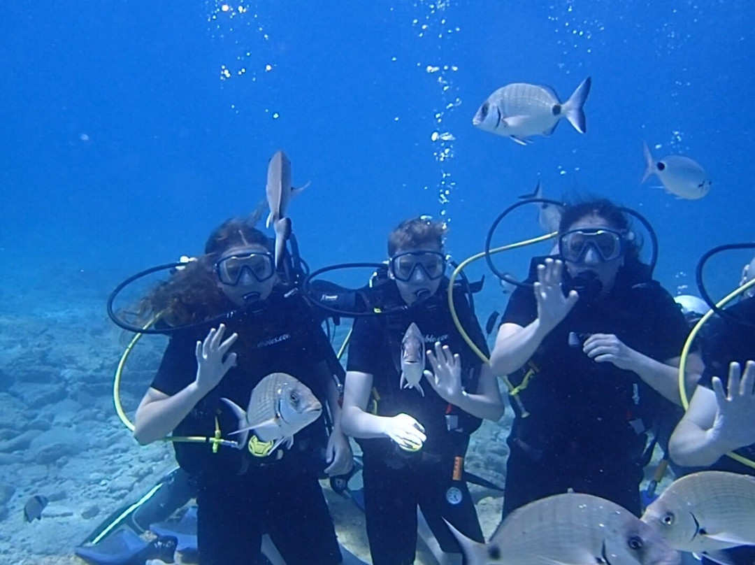 Happy Bubbles Diving Center-居姆贝特必去景点