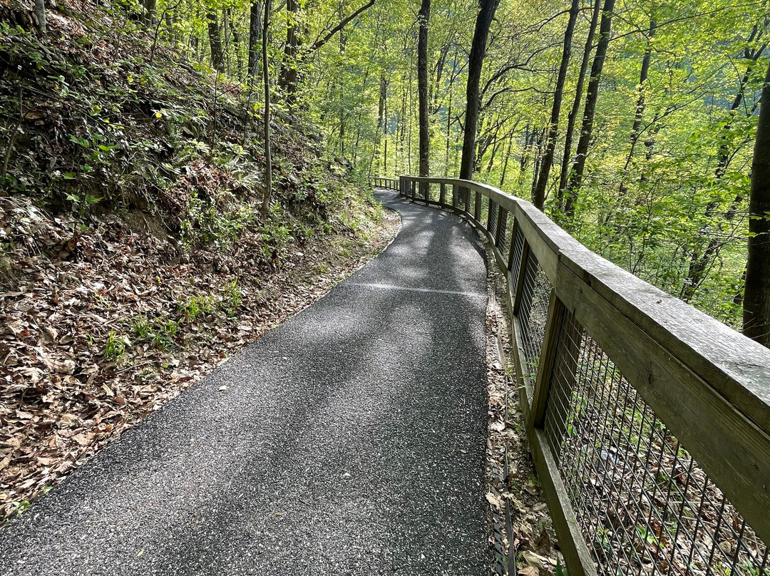 Amicalola Falls State Park-道森维尔必去景点