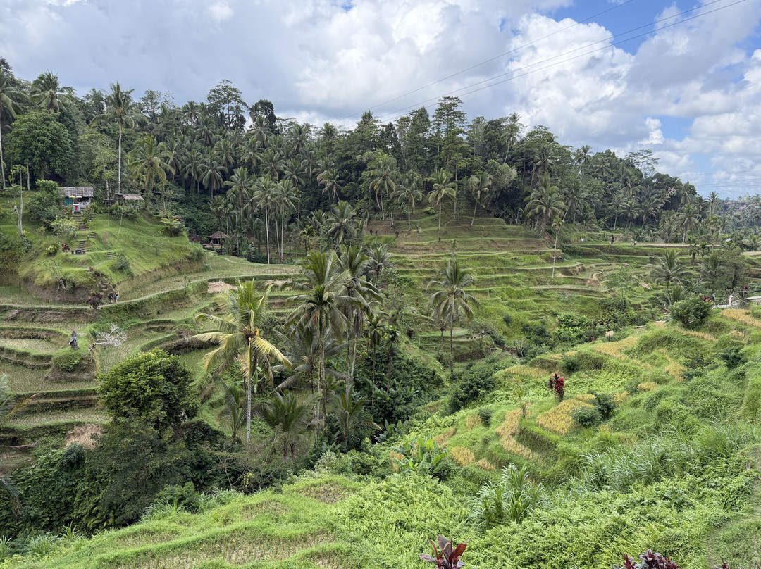 Bali Qhiu Holiday-登巴萨必去景点