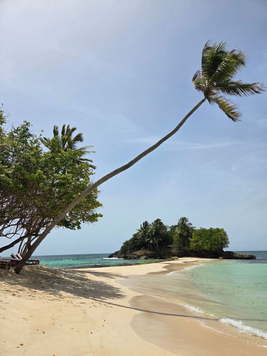 Cayo Levantado 度假村 - 全包-旅行者