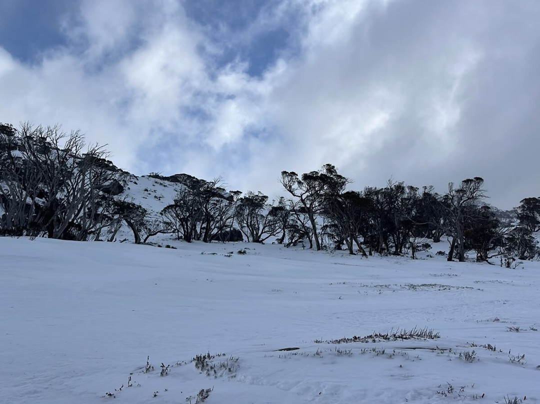 皮尔吉恩特滑雪山林小屋主图