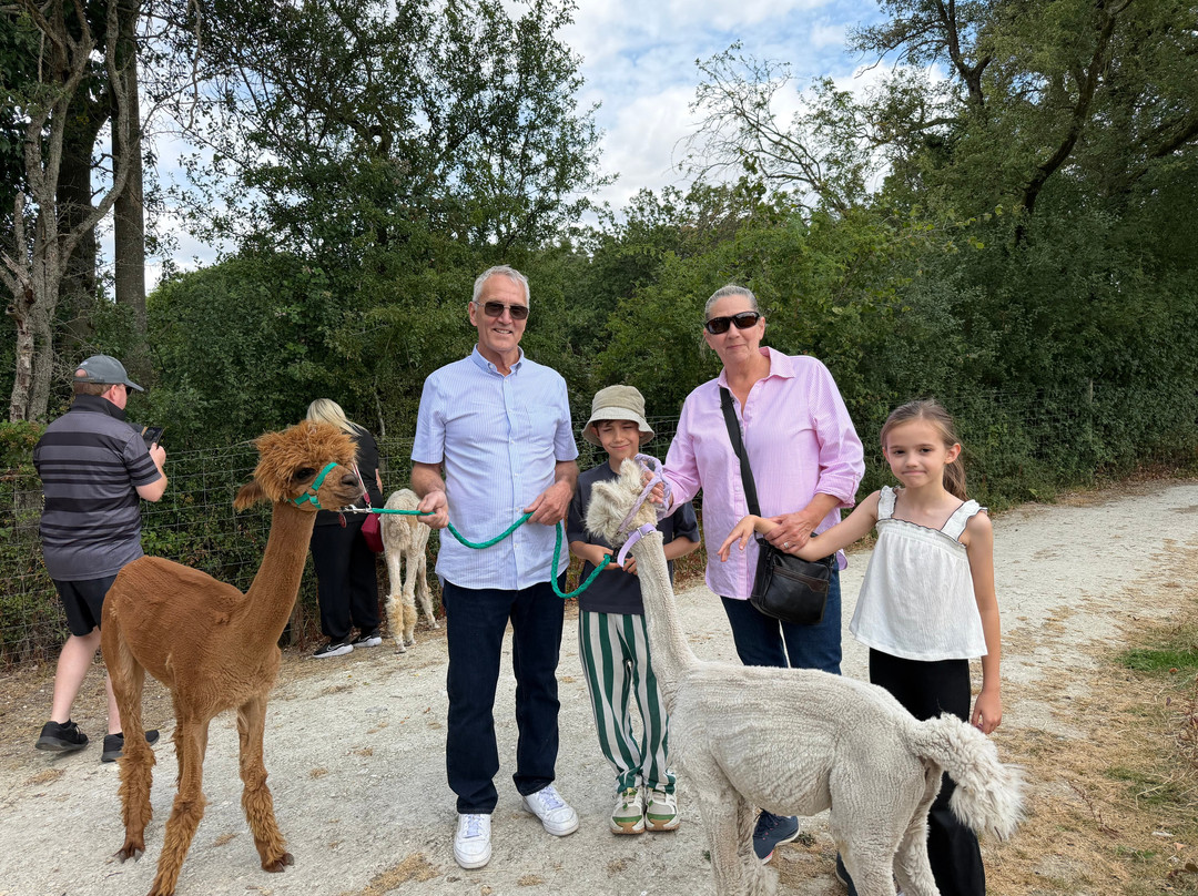 Pennybridge Farm Alpacas-胡克必去景点