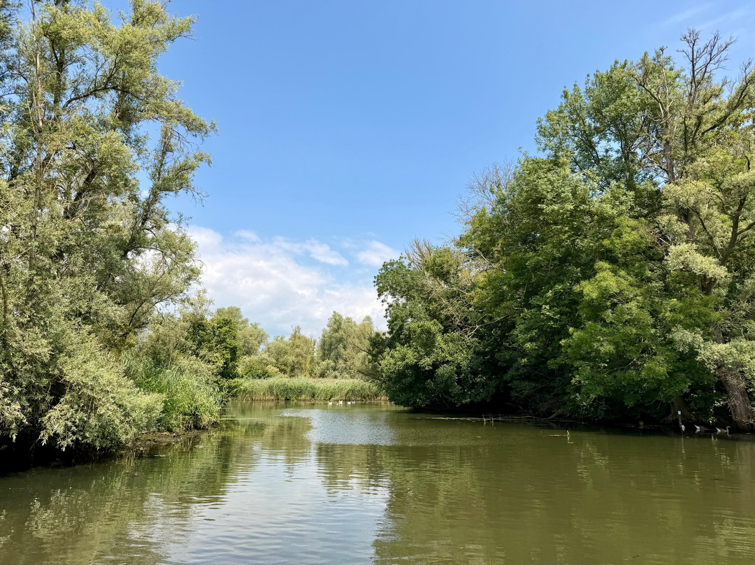 National Park De Biesbosch-Drimmelen必去景点