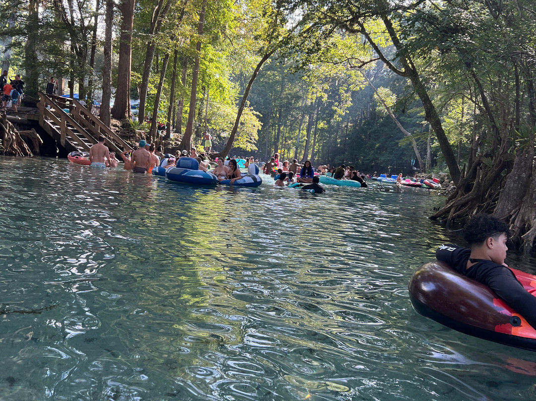 Ginnie Springs-High Springs必去景点