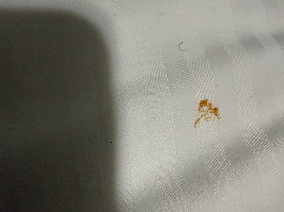 欣顿温德姆华美达酒店主图
