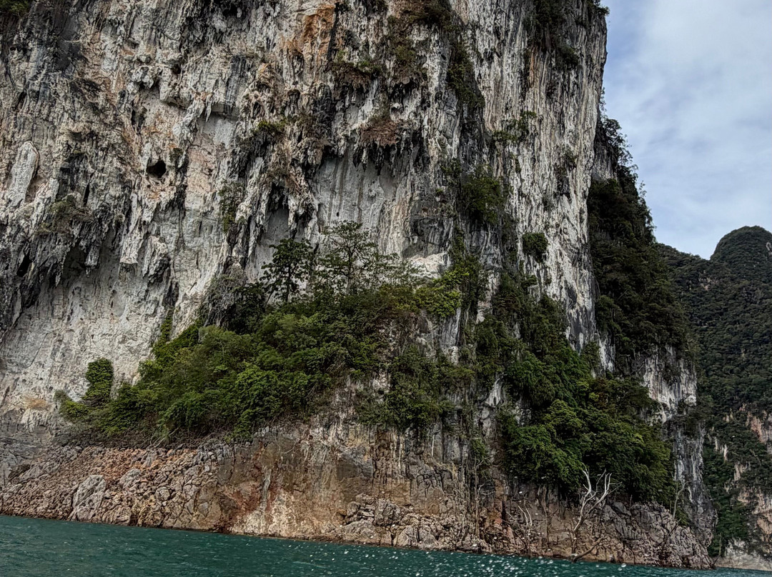 艺术河景旅馆主图