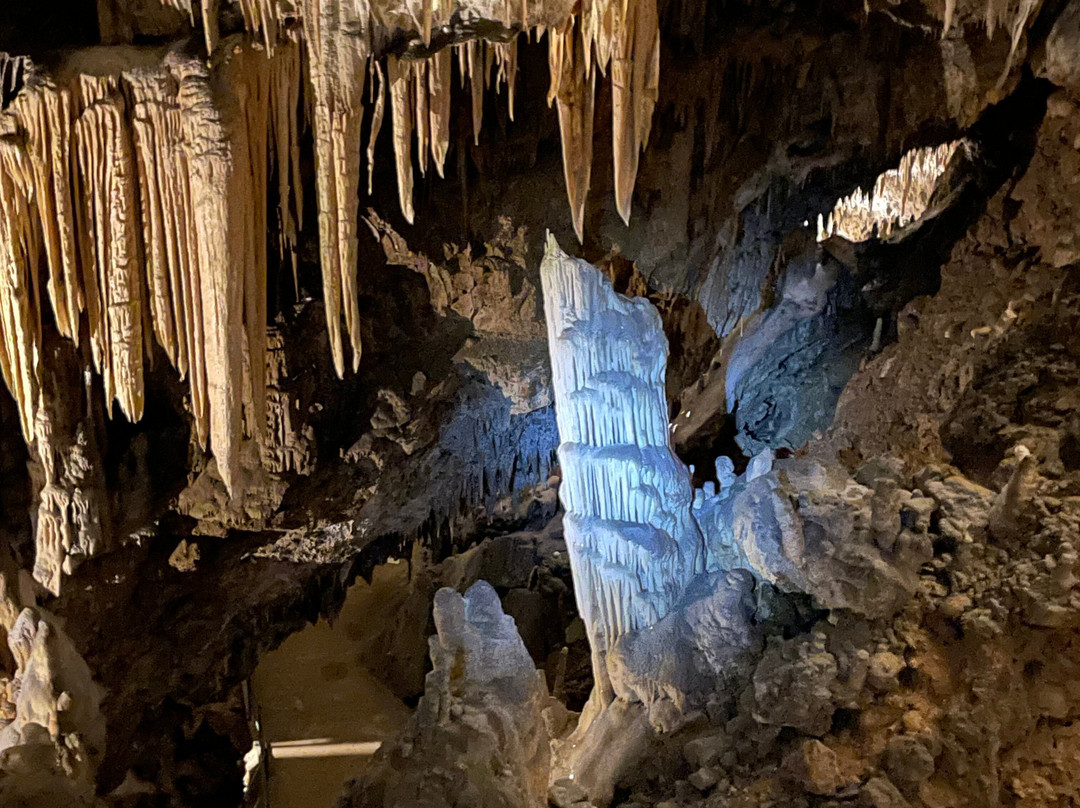 Postojna Cave-波斯托伊纳必去景点