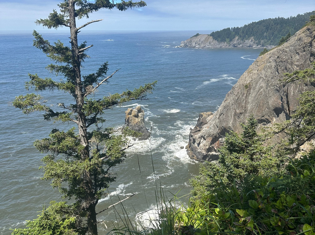 Oswald West State Park-坎农比奇必去景点