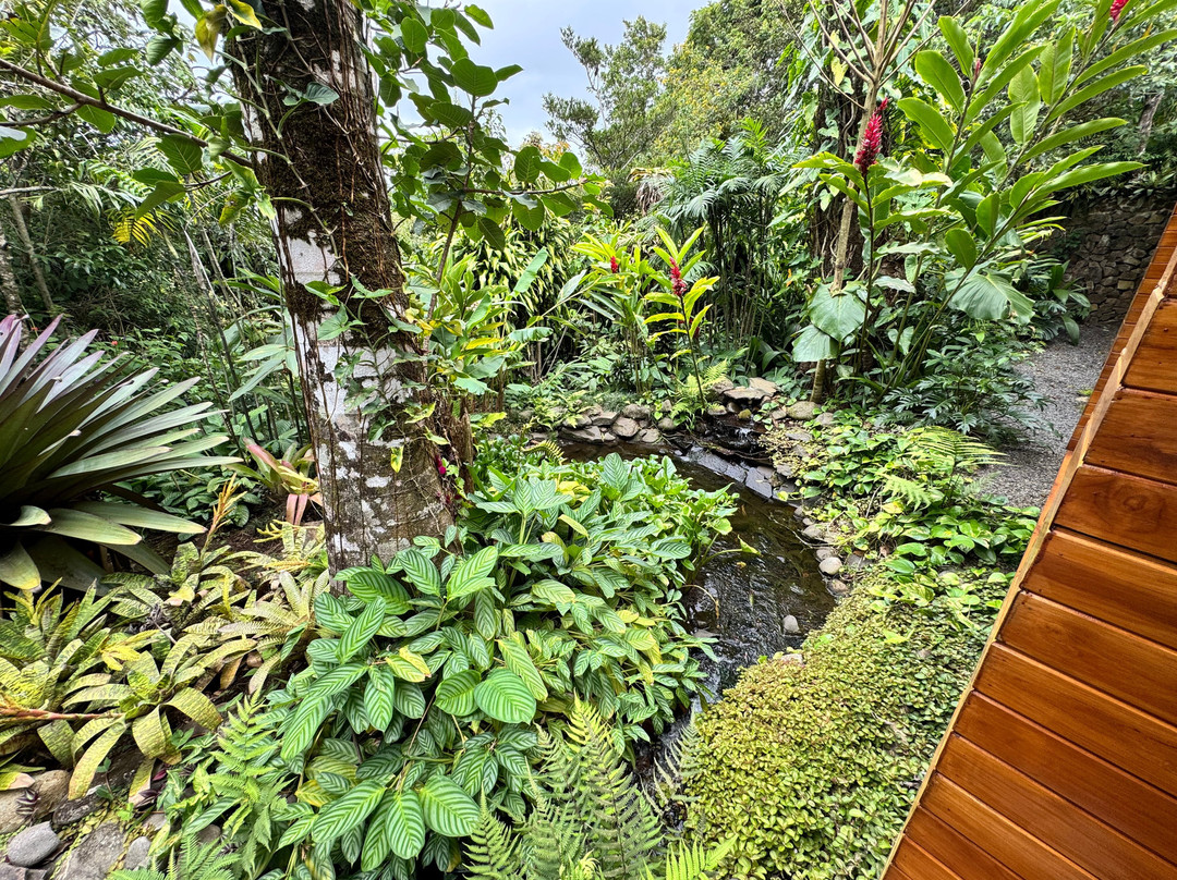 蒙特维尔德小屋主图
