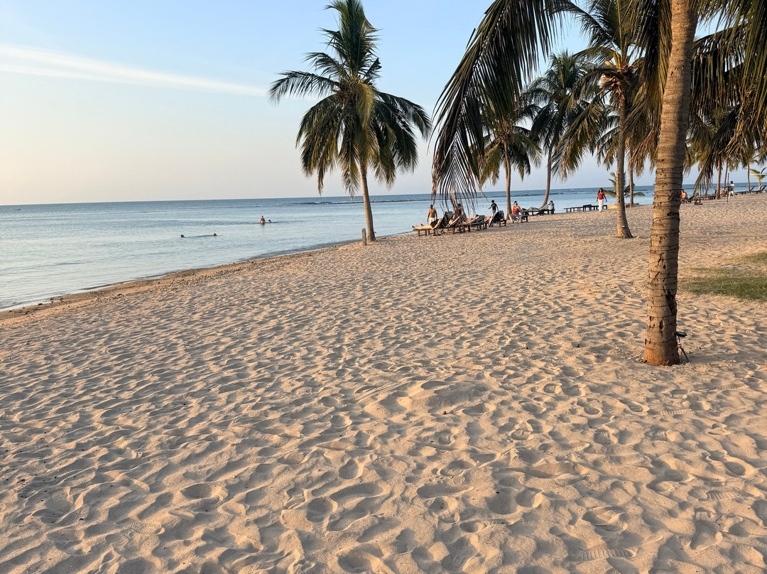 Sri Lanka Road Trip Partner