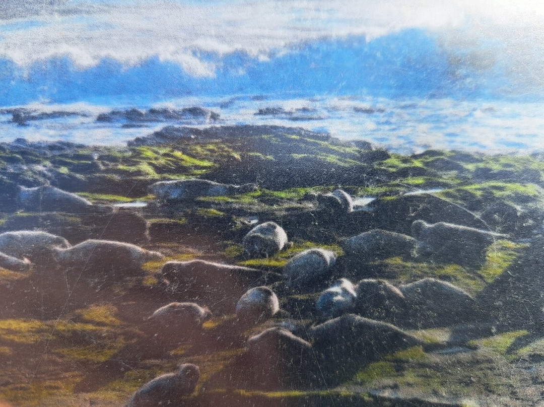 St. Mary's Lighthouse-惠特利湾必去景点