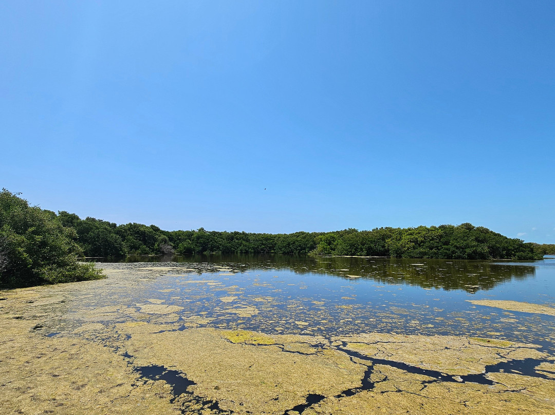 Isla Contoy National Park-Isla Contoy必去景点