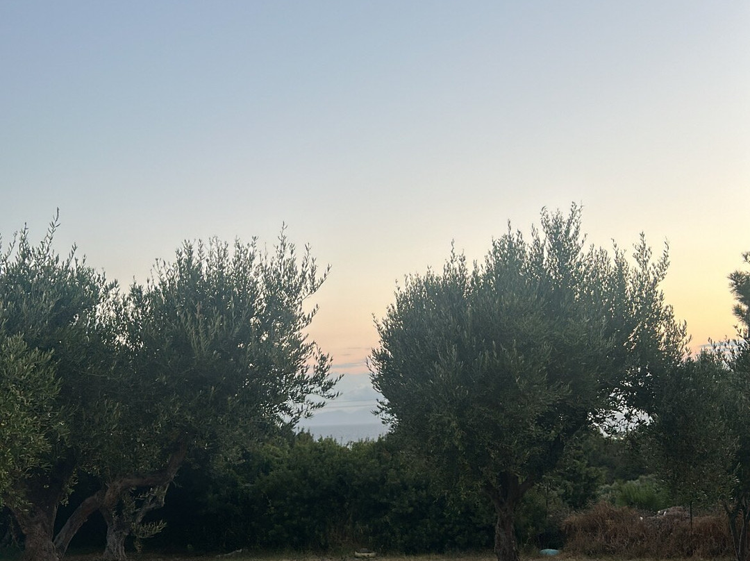 夏季景观酒店主图