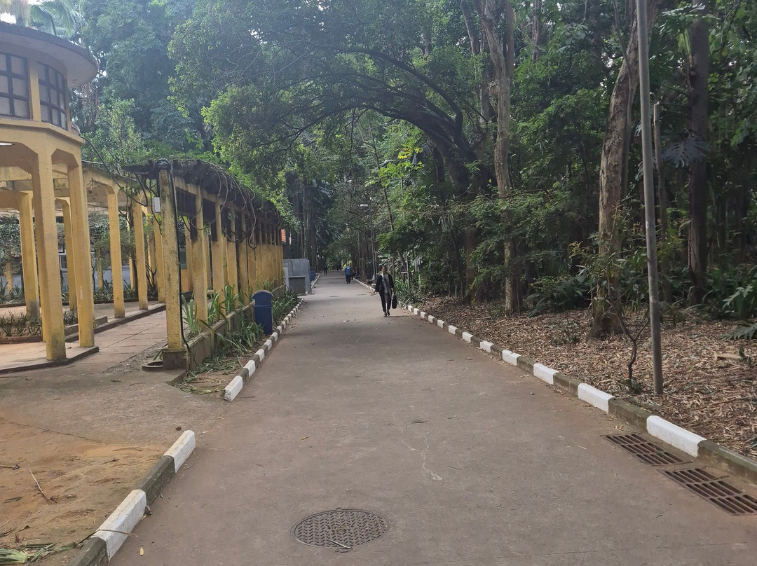 Parque Da Água Branca-圣保罗必去景点