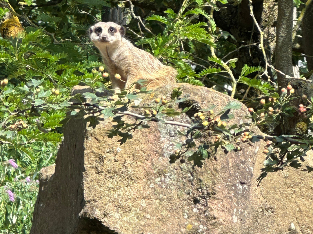 Zoologischer Garten Magdeburg-马格德堡必去景点