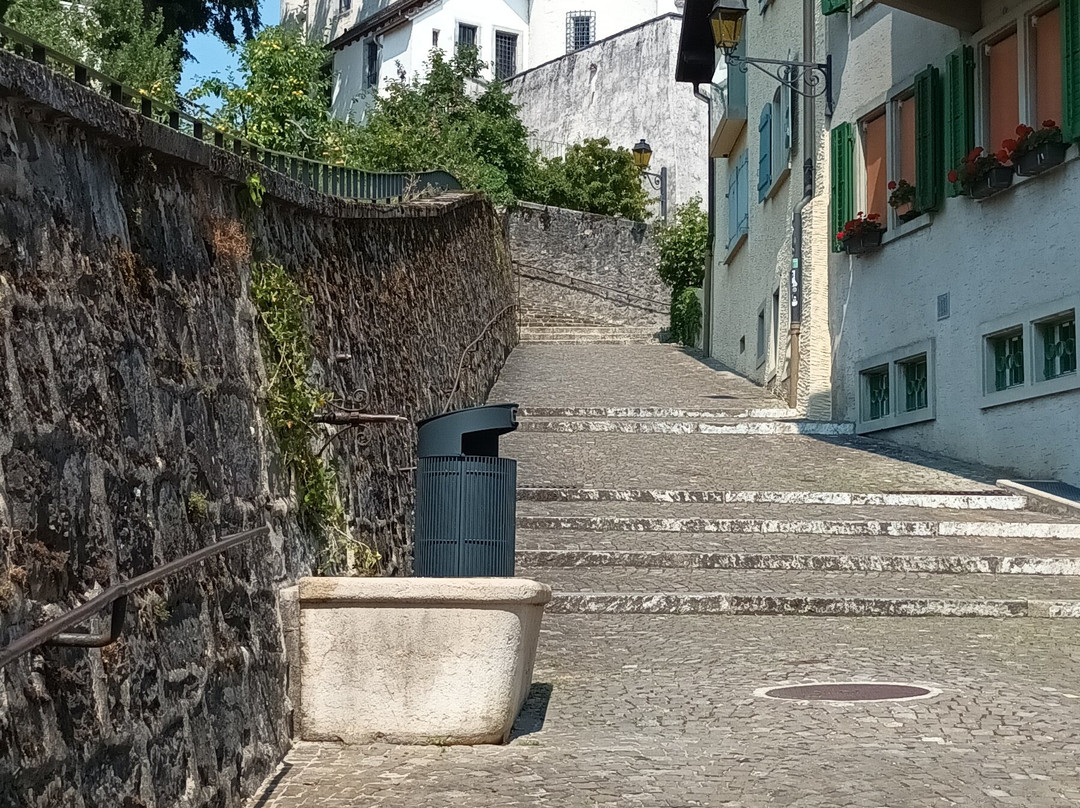 Château de Nyon-尼永必去景点