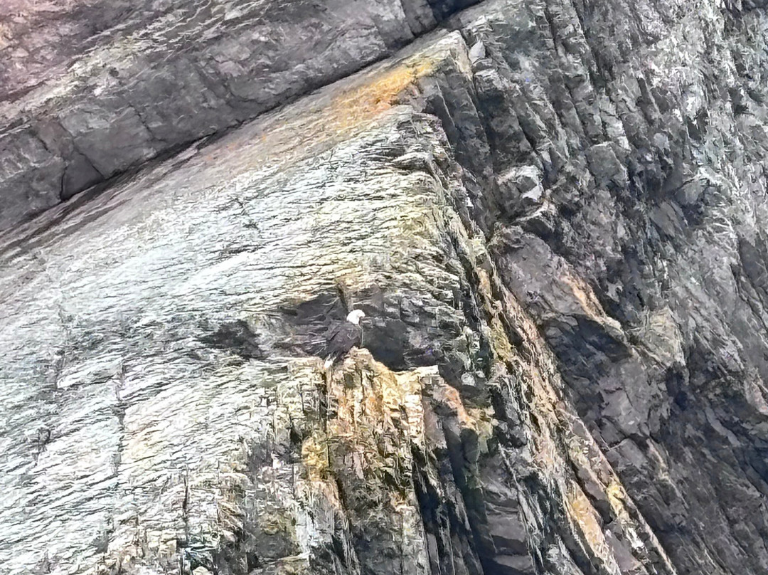 Skerwink Trail-Port Rexton必去景点