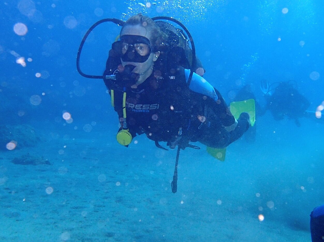 Alonissos Seacolours Dive Center-Patitiri必去景点