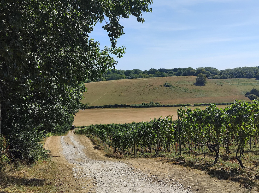 Meopham Valley Vineyard-Meopham必去景点