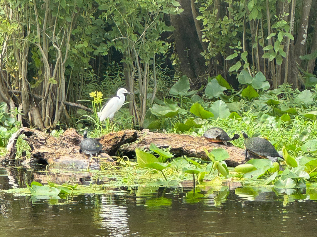 St. John's River Eco Tours, LLC-DeBary必去景点