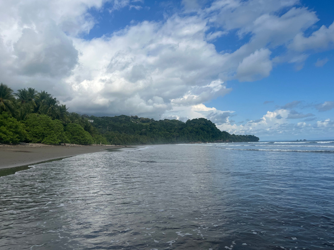 Parque Nacional Marino Ballena-乌维塔必去景点