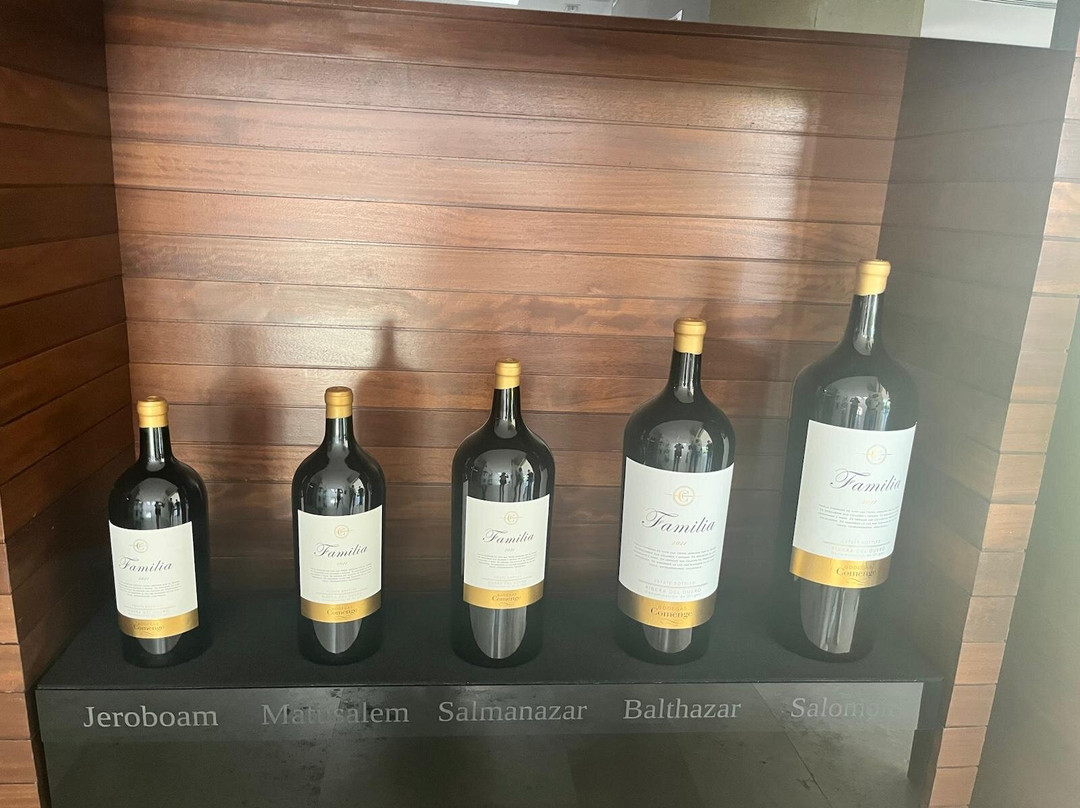 Bodegas Comenge-Curiel de Duero必去景点