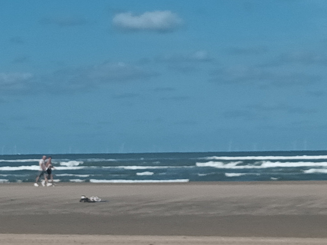 Zandvoort Aan Zee-赞德沃特必去景点