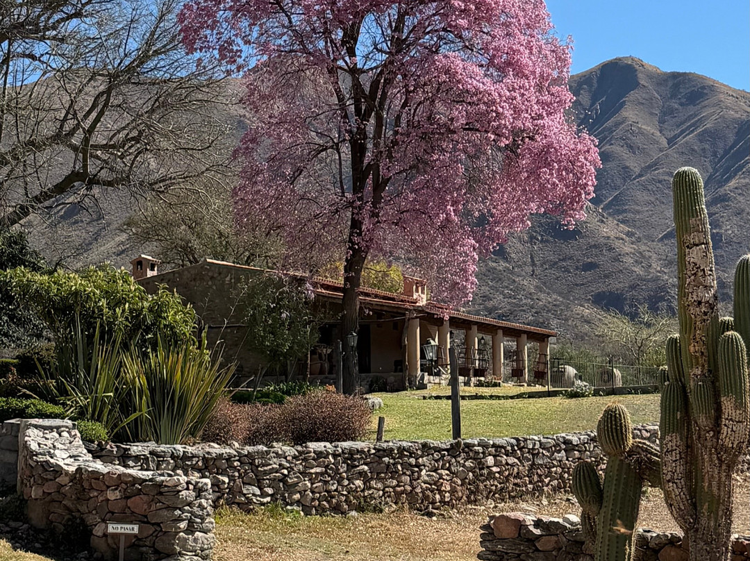 Bodega San Pedro de Yacochuya-卡法亚特必去景点