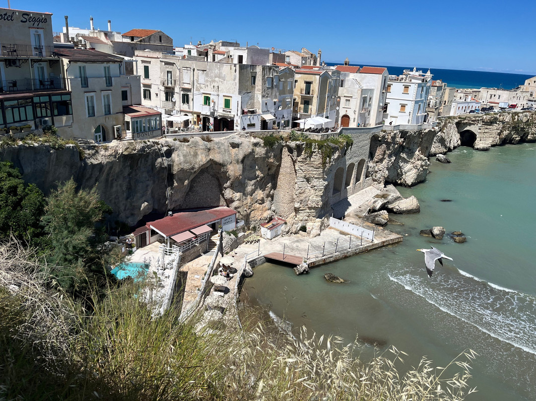 Vieste Promenade-维耶斯泰必去景点