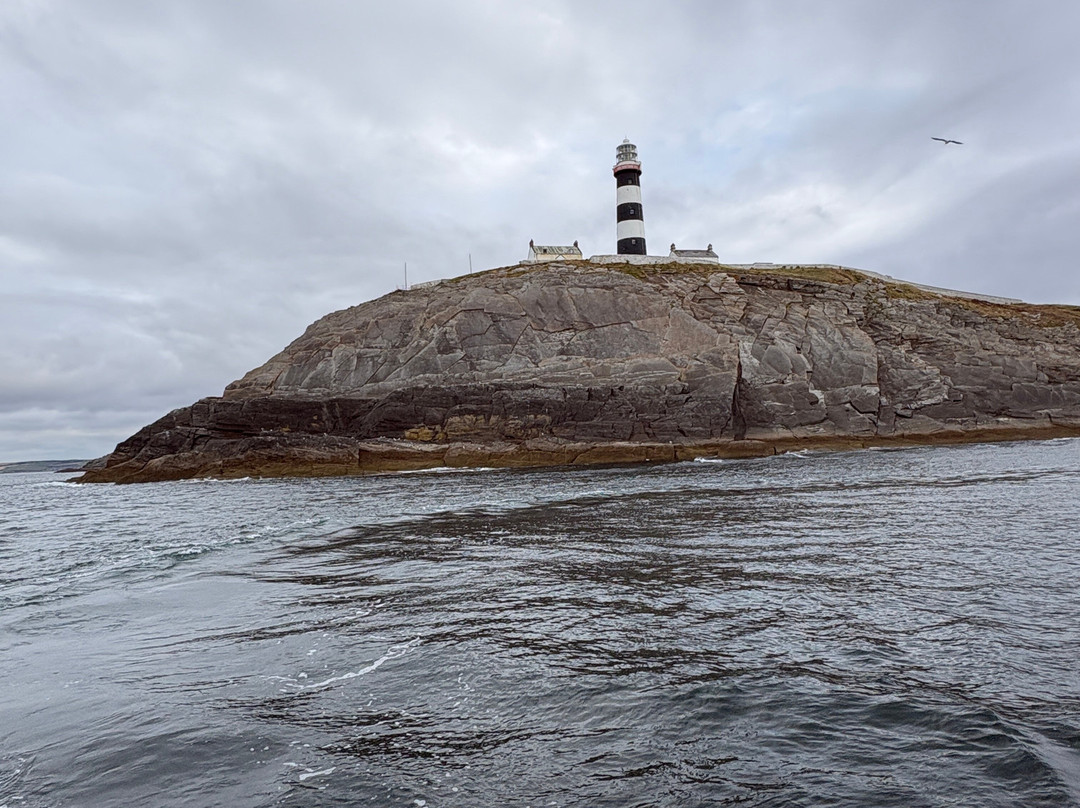 Atlantic Whale and Wildlife Tours-Courtmacsherry必去景点