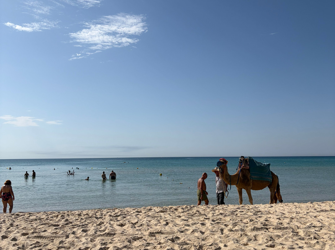 Hammamet Beach-哈玛麦德必去景点